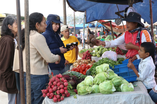 Publican en La Gaceta ley de medidas fiscales de Honduras