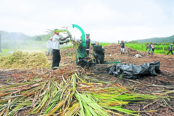 Maquila y agroindustria, los soportes de la economía en Villanueva