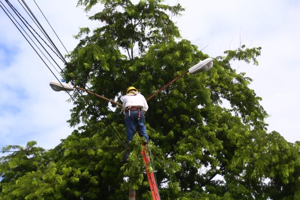 Enee instalará más de 1,000 lámparas en bulevar del sur