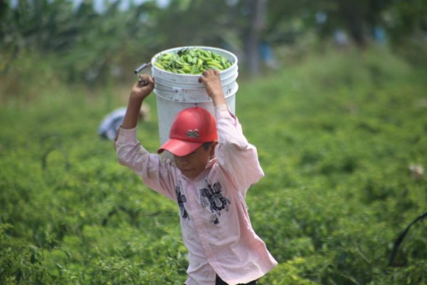 ¡Dí no al trabajo infantil!
