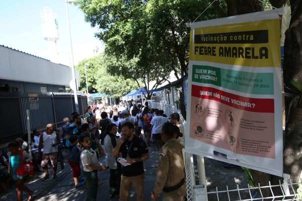 Detectan en Brasil mutaciones genéticas inéditas en virus de fiebre amarilla