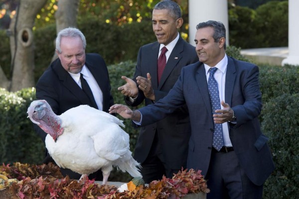 Obama condecora a Pavo Nacional del año en doble indulto de Acción de Gracias  