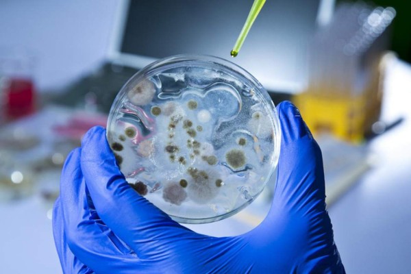 La OMS urge a hallar nuevos antibióticos para 12 'superbacterias'