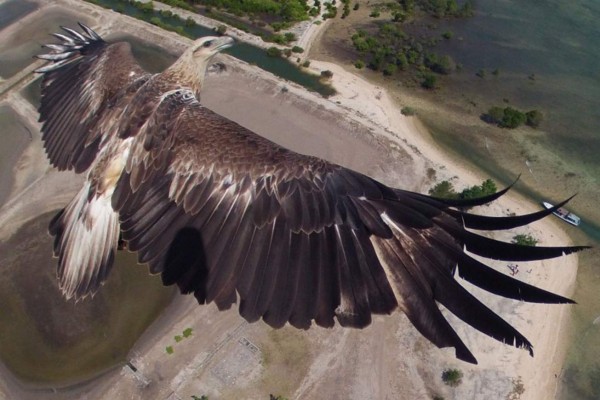 Estas son las mejores fotos de 2014 tomadas por drones