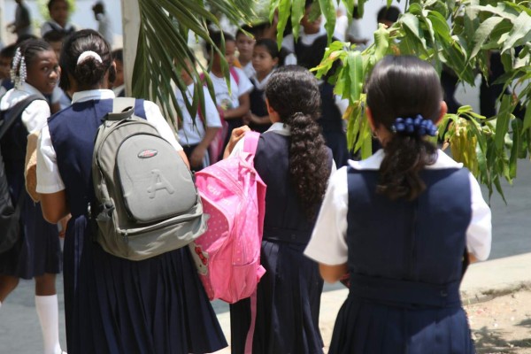 Llaman a estudiantes a sumarse a campaña contra el dengue
