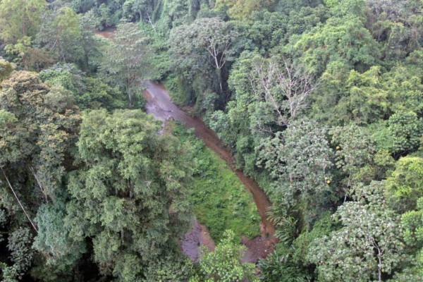'La plaga del dios mono': Exploradores contraen enfermedad en La Mosquitia