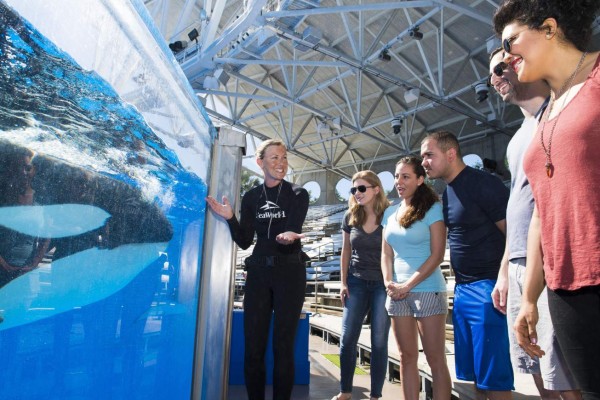 SHM34 - ORLANDO (FL, EE.UU.), 11/07/2017.- Fotografía cedida hoy, martes 11 de julio de 2017, por SeaWorld, en donde aparece un grupo de personas escuchando a una entrenadora de una ballena orca durante una explicación en el parque temático SeaWorld de Orlando, Florida (EE.UU.). La empresa de parques temáticos SeaWorld anunció hoy la creación de una nueva experiencia para sus visitantes brindándoles la posibilidad de un encuentro cercano con las orcas que todavía viven en sus tanques en Orlando. EFE/SeaWorld/SÓLO USO EDITORIAL/NO VENTAS