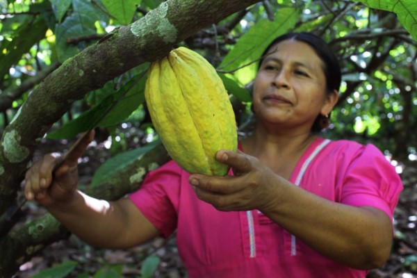 Chocolateras trabajan en encontrar nuevos mercados