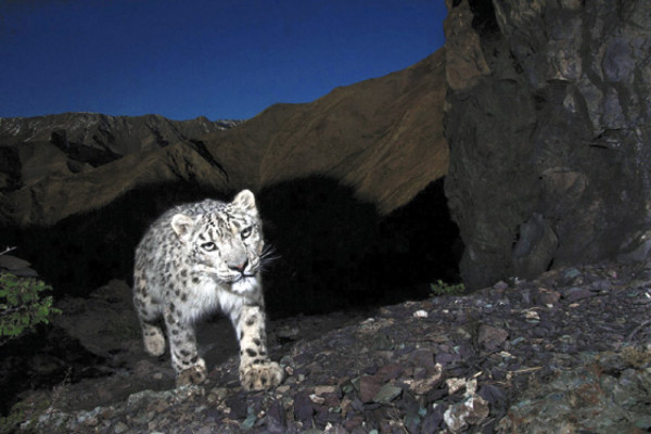 Las mejores fotos de 2008