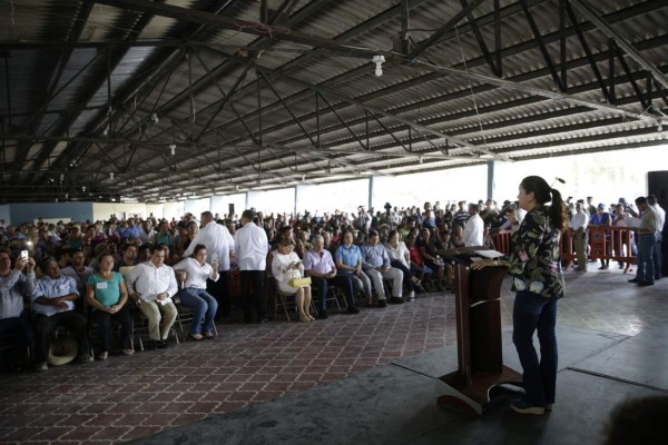 Más de 1,500 familias reciben asistencia social