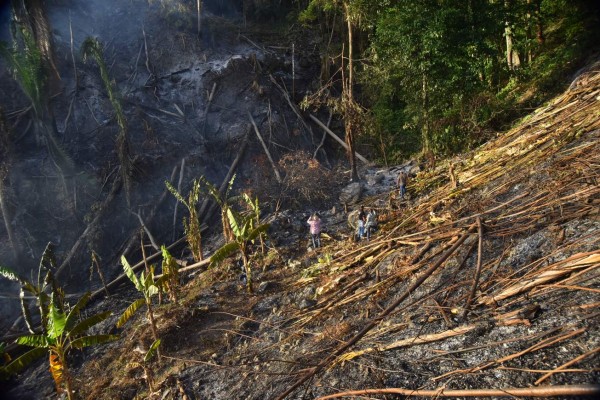 Investigan mano criminal en incendio en parque nacional de Atlántida