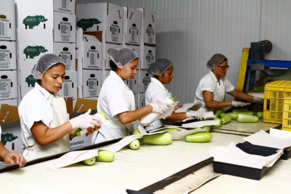 La Ccicom celebrará sus 50 años