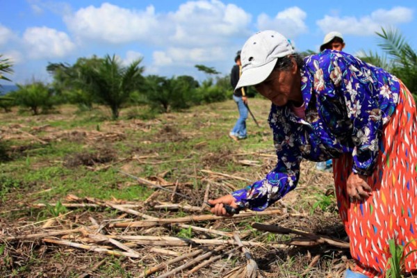 Afinan arranque de Banrural para que comience en agosto en Honduras