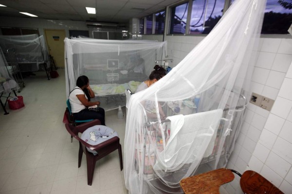 Salud y la OPS planifican la introducción de la vacuna contra el dengue en Honduras
