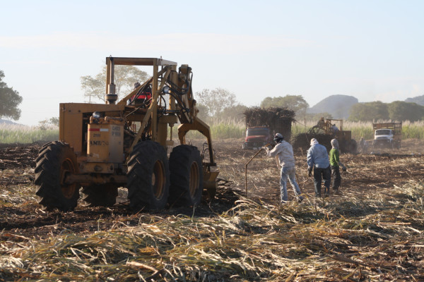 Guatemala cedería su porción azucarera