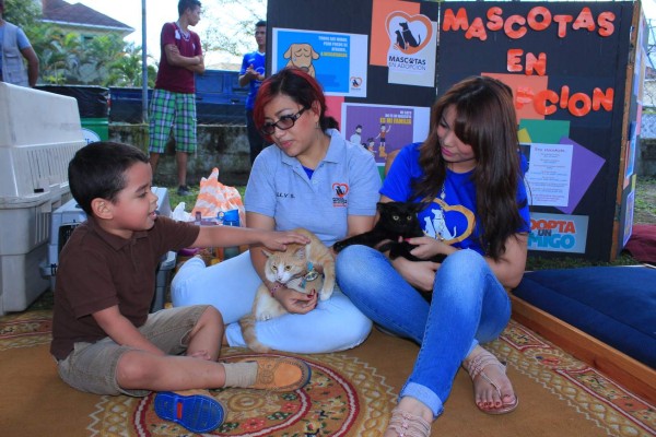 Realizan en San Pedro Sula primera jornada de adopción de animales