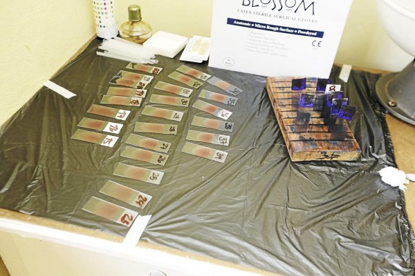 Instalan cerco epidemiológico para combatir la chikunguña