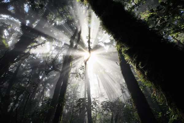 Historias cortas de un país muy grande