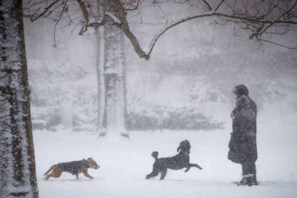 En fotos: La fuerte nevada que paraliza el noroeste de EUA