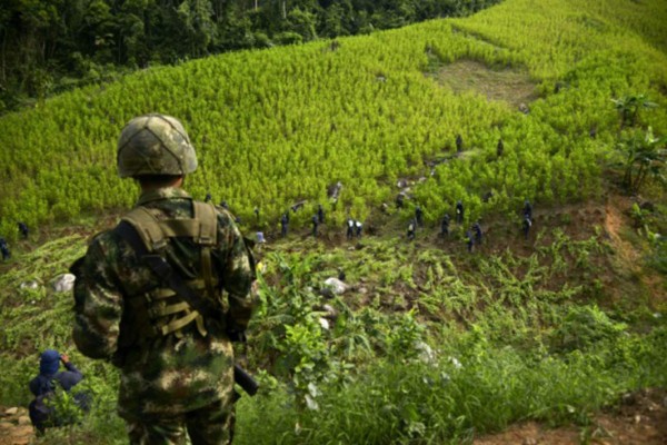 Desarticulan banda en Colombia al servicio de cárteles mexicanos  