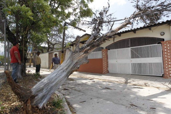 Vientos de 30 minutos dejaron graves daños