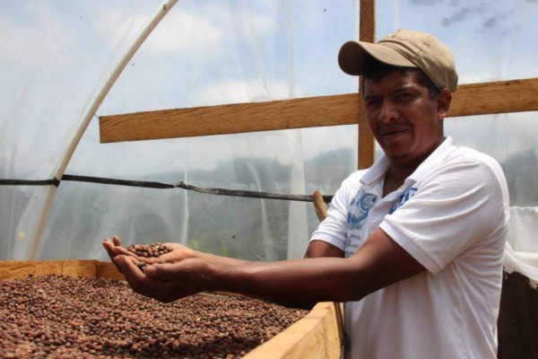 El Sica buscará apoyo financiero para potenciar caficultura en Centroamérica