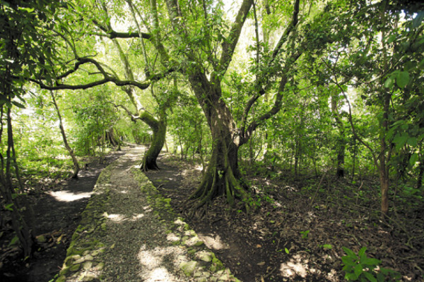 Laguna de los Lagartos