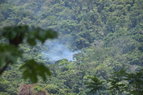 Incendios acaban con los bosques en zonas protegidas de Honduras
