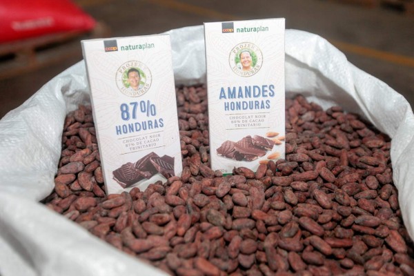 El 30% del cacao hondureño recibe precios diferenciados