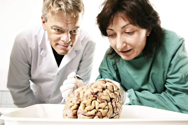 Nobel de Medicina para descubridores de 'GPS interno' cerebral