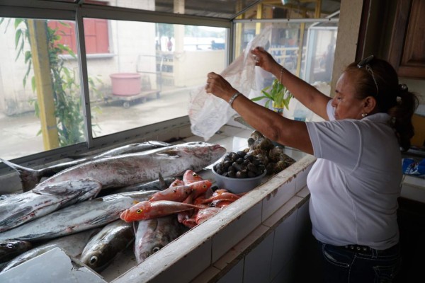 Ruta 504: ¡A Puerto Cortés por nuevas aventuras!