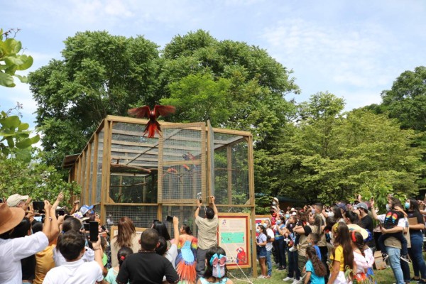 Copán Ruinas recibió unos 10,000 turistas durante el Guacamaya Fest