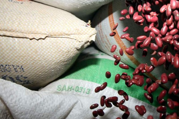 Decomisan 6,000 quintales de frijoles en San Pedro Sula
