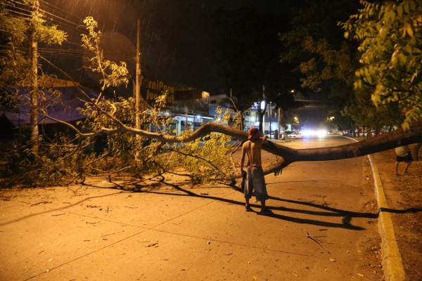 Vientos de 30 minutos dejaron graves daños