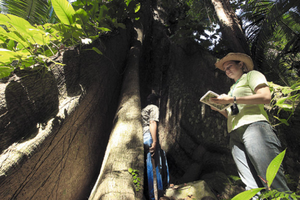 Lancetilla: un jardín de la ciencia