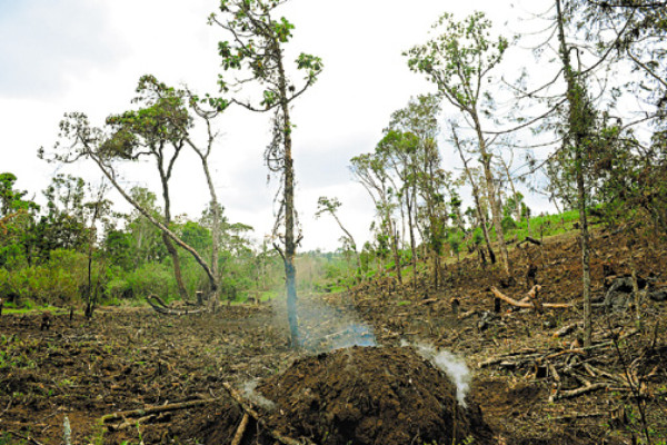 Islas del Caribe en riesgo de desaparecer