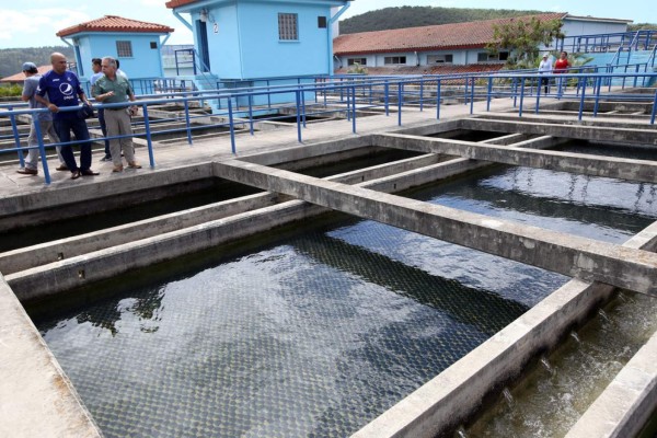 El Sanaa pasará a la alcaldía capitalina en 2017