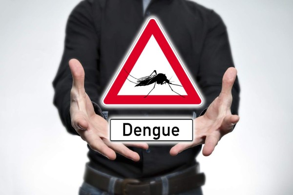 El virus del dengue podría potenciar el ataque del Zika