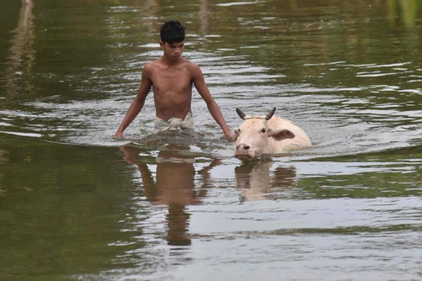 Medio centenar de muertos y casi 2 millones de afectados por lluvias en India  