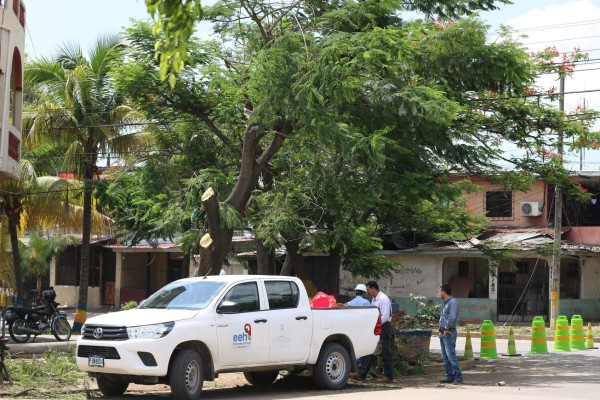 Pobladores de 14 zonas no tendrán energía hoy en San Pedro Sula