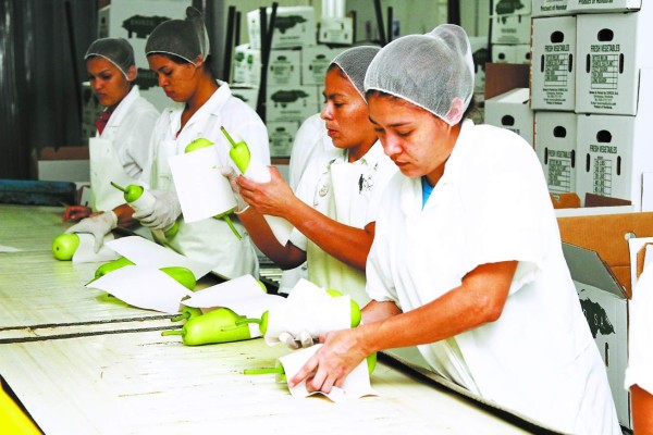 Feria agroalimentaria busca estimular economía hondureña