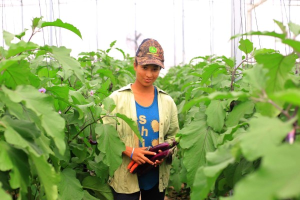 Sensibilizan en género a más de 12,000 trabajadores