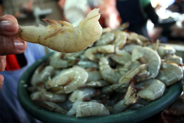 Destino de camarón robado hondureño es El Salvador