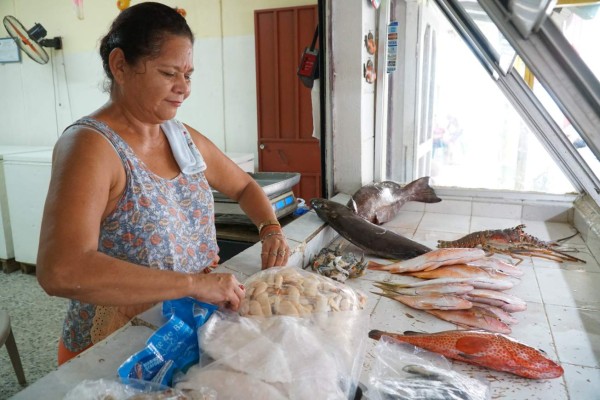 Ruta 504: ¡A Puerto Cortés por nuevas aventuras!