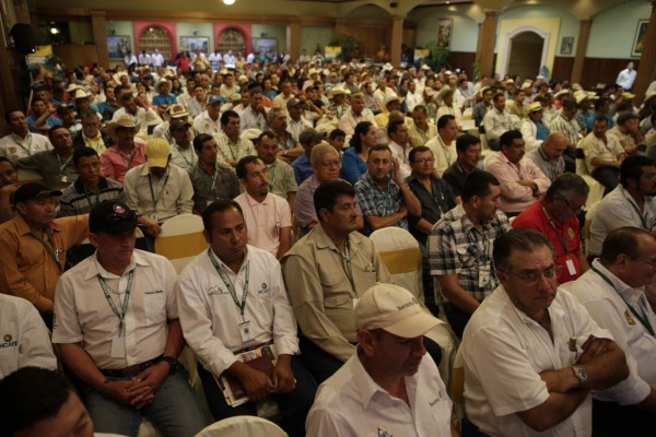 JOH anuncia que Plan 20/20 repotenciará la caficultura