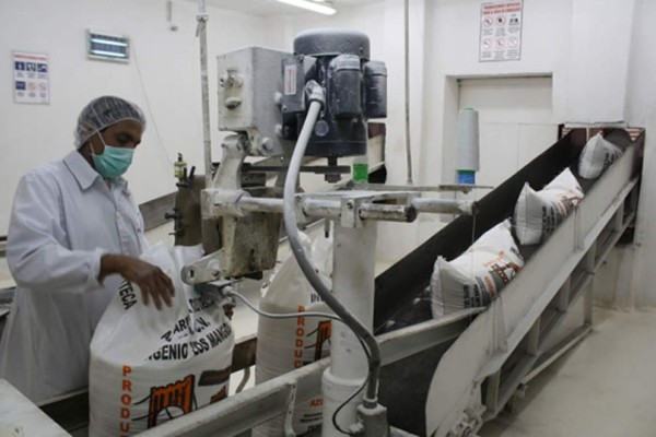 México, EUA y China compiten por construir ingenios azucareros