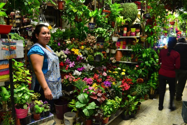El museo de Frida Kahlo deslumbra en Coyoacán