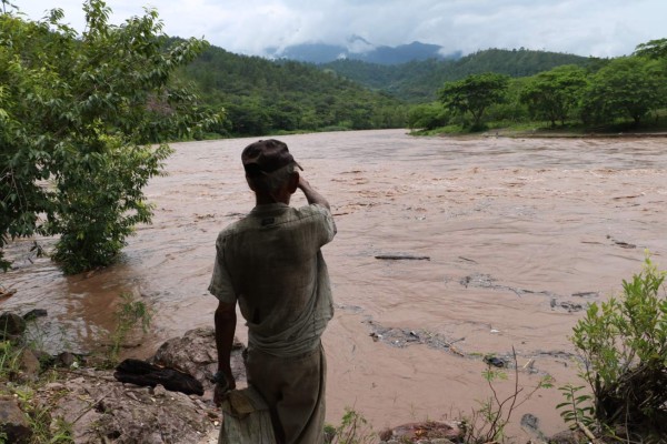 Evacuan a siete familias por crecida del río Ulúa