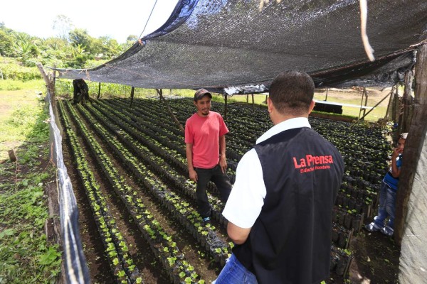 Foto: La Prensa