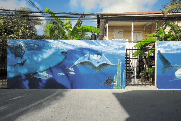 ¡Tiburón a la vista!